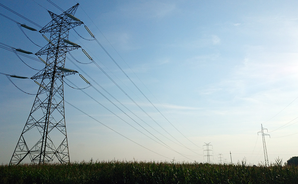 Opinia ornitologiczna dotycząca wpływu linii elektrycznych na ptaki.